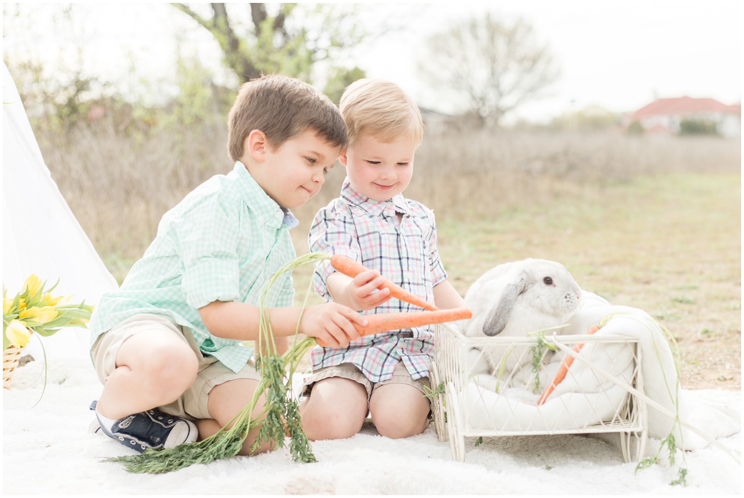 boys with live easter bunny mini-sessions