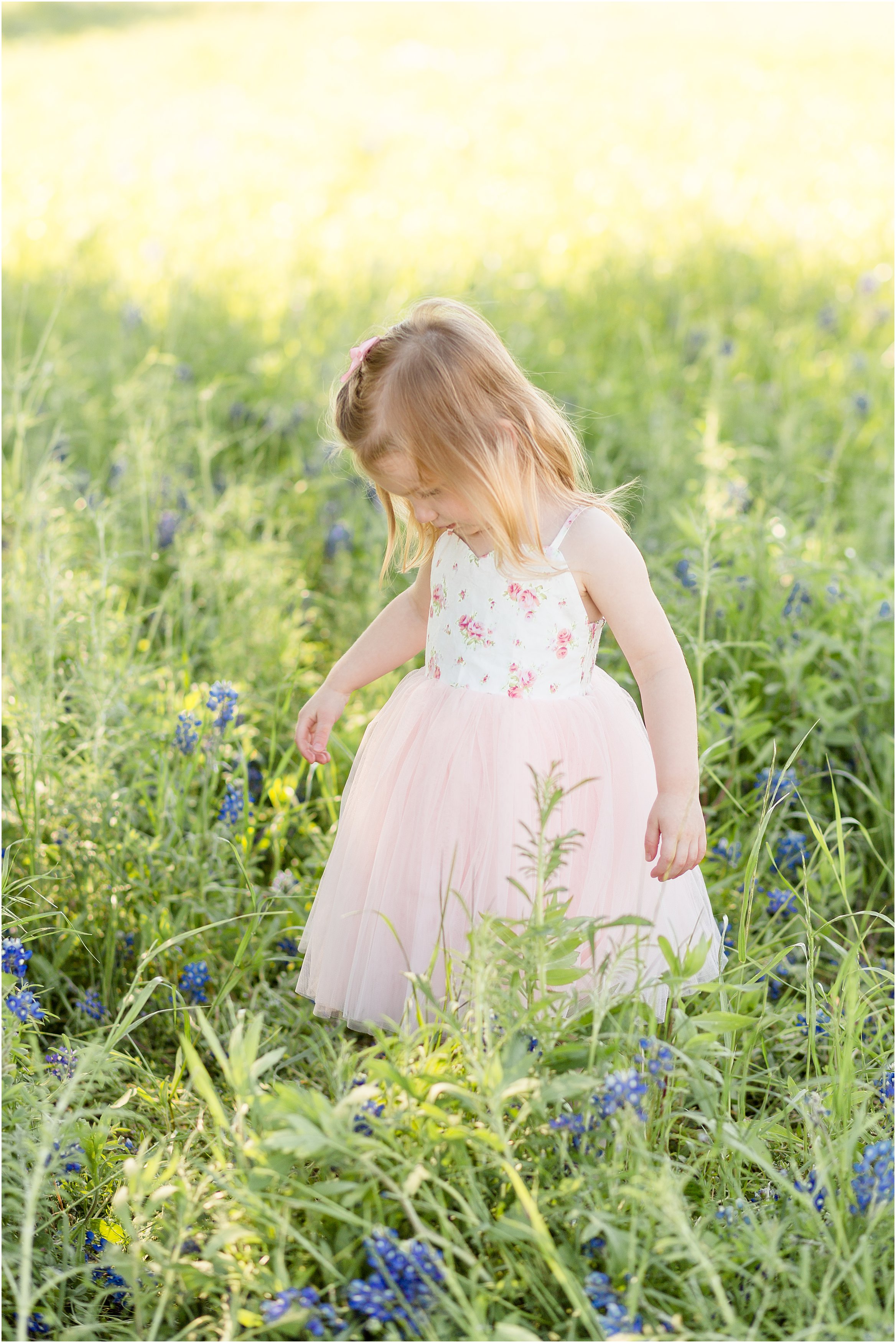 little girl spring bluebonnet picture