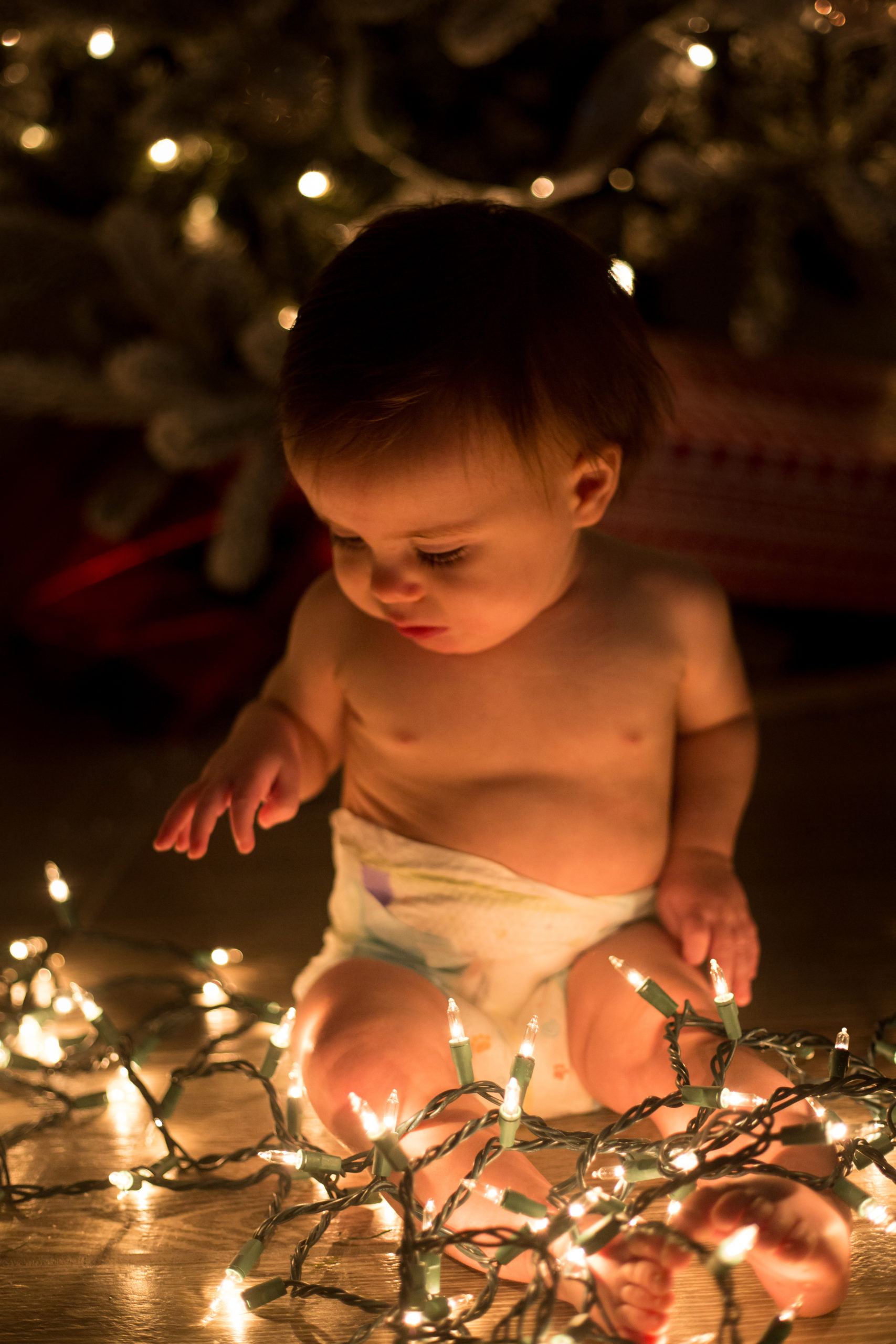 baby wrapped in christmas lights