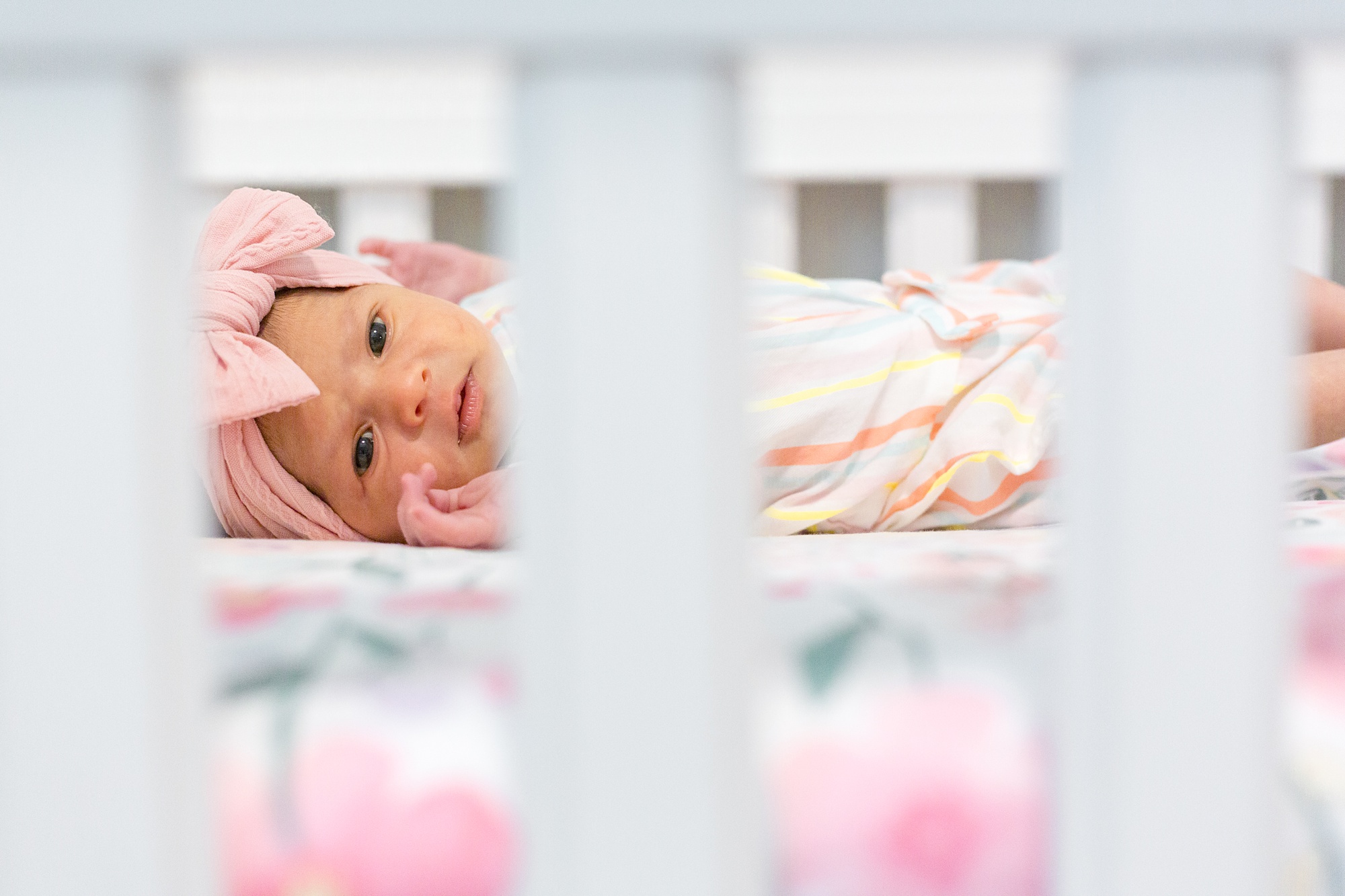 newborn portraits of baby girl on pink sheets in crib