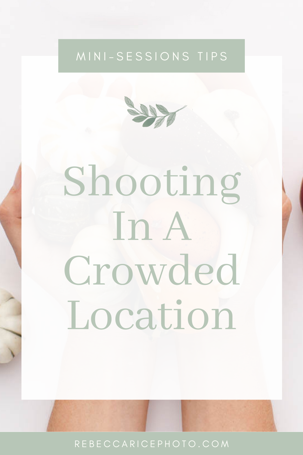 Shooting At a Crowded Location  // Rebecca Rice Education #minisessions #minisessionsideas #minisessionsinspiration #minisideas #minisessiontips #photographytips #familyphotography #familyphotographytips #businesstips #photolocationideas