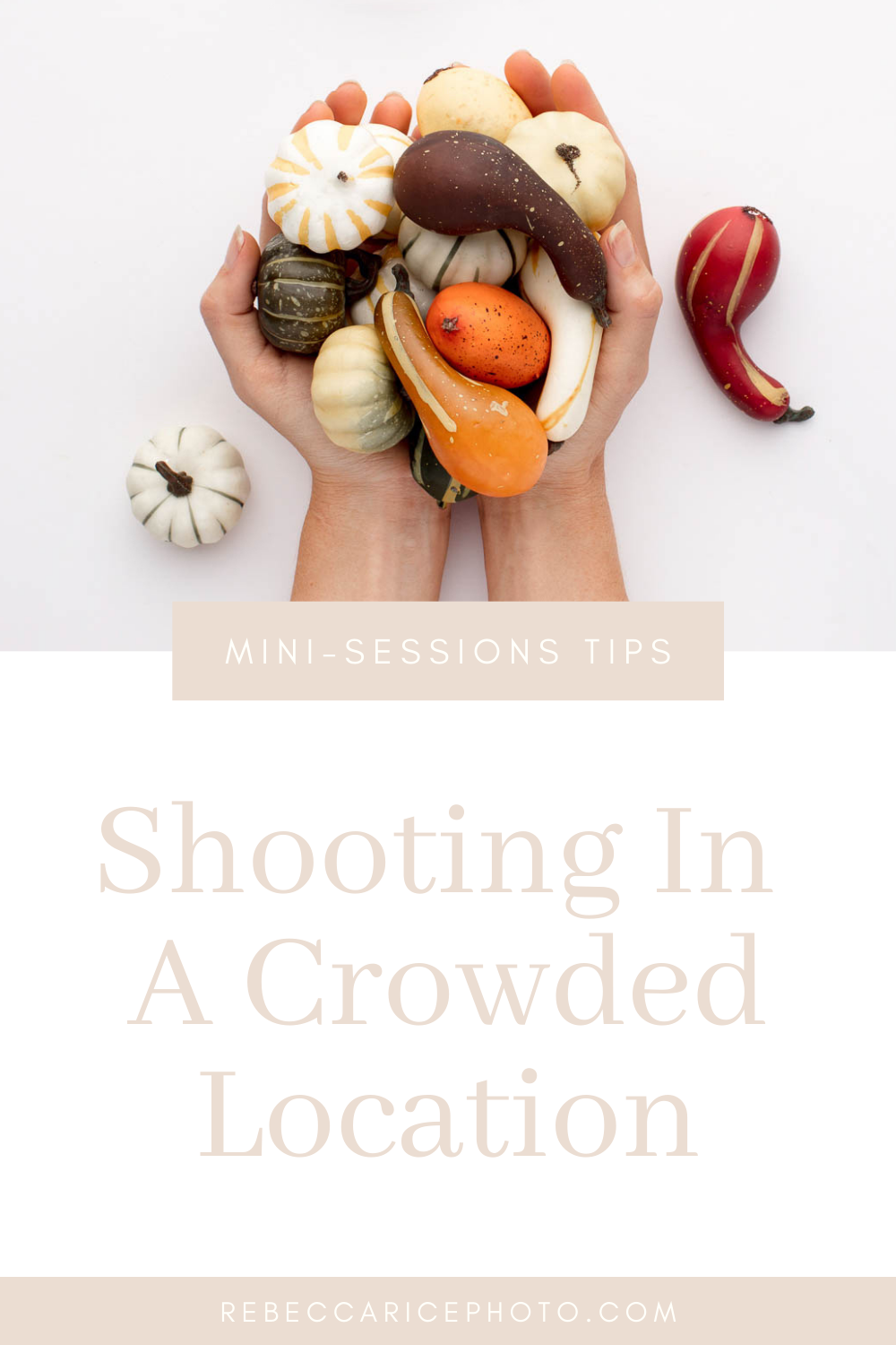 Shooting At a Crowded Location  // Rebecca Rice Education #minisessions #minisessionsideas #minisessionsinspiration #minisideas #minisessiontips #photographytips #familyphotography #familyphotographytips #businesstips #photolocationideas
