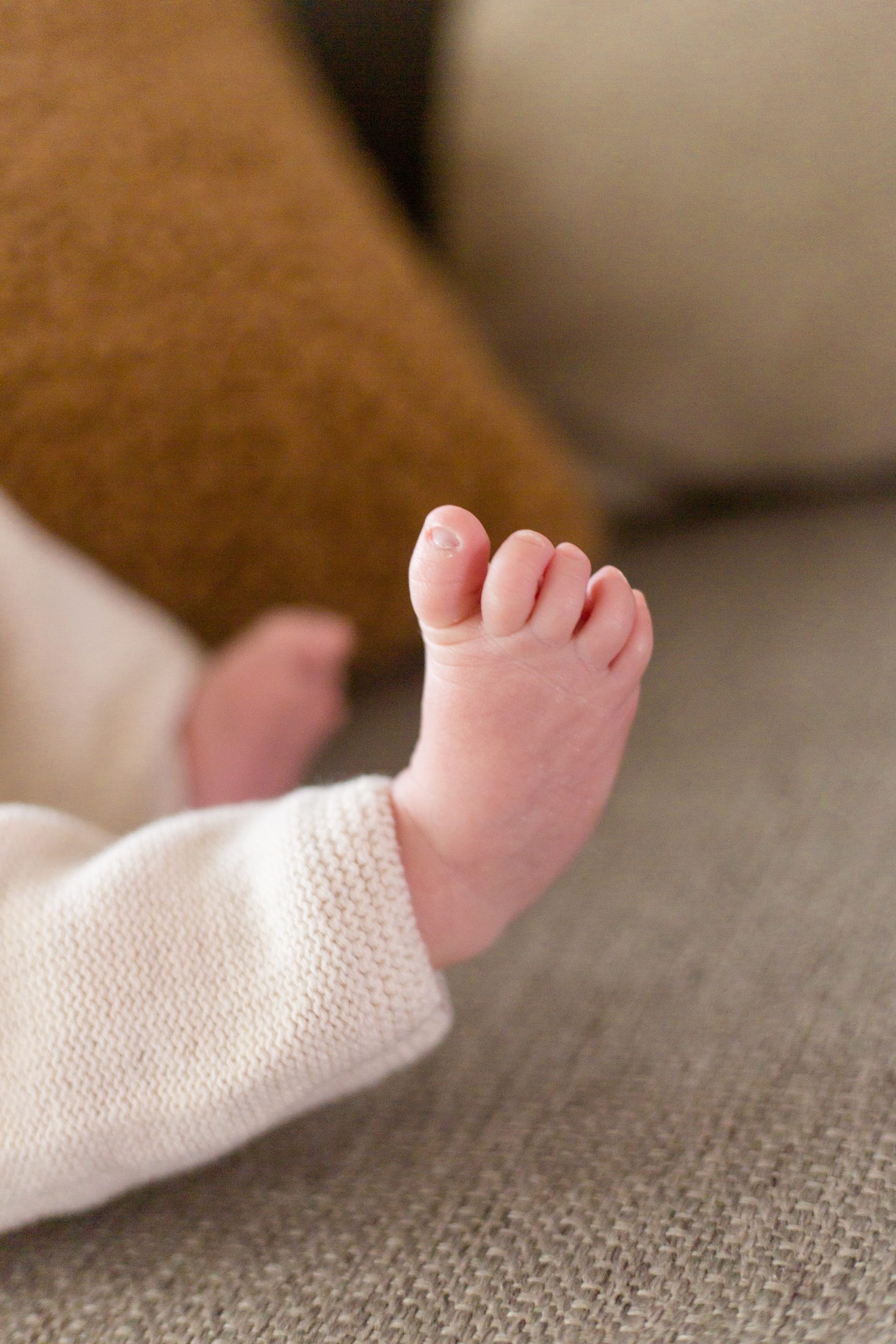 baby's toes during TX lifestyle newborn session