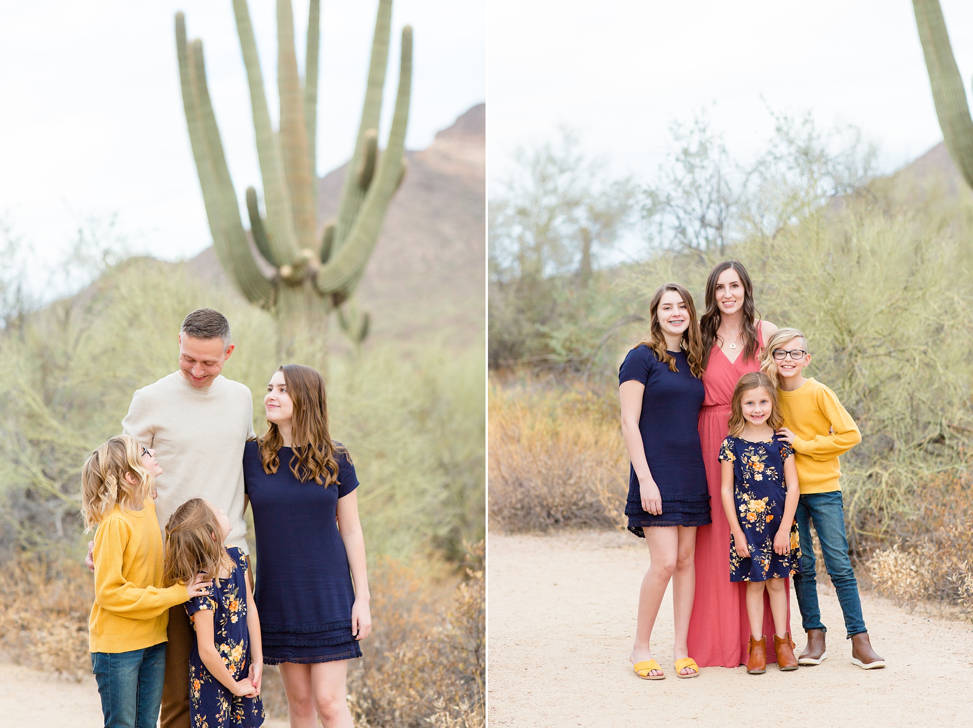 Arizona family portraits in Usery Park
