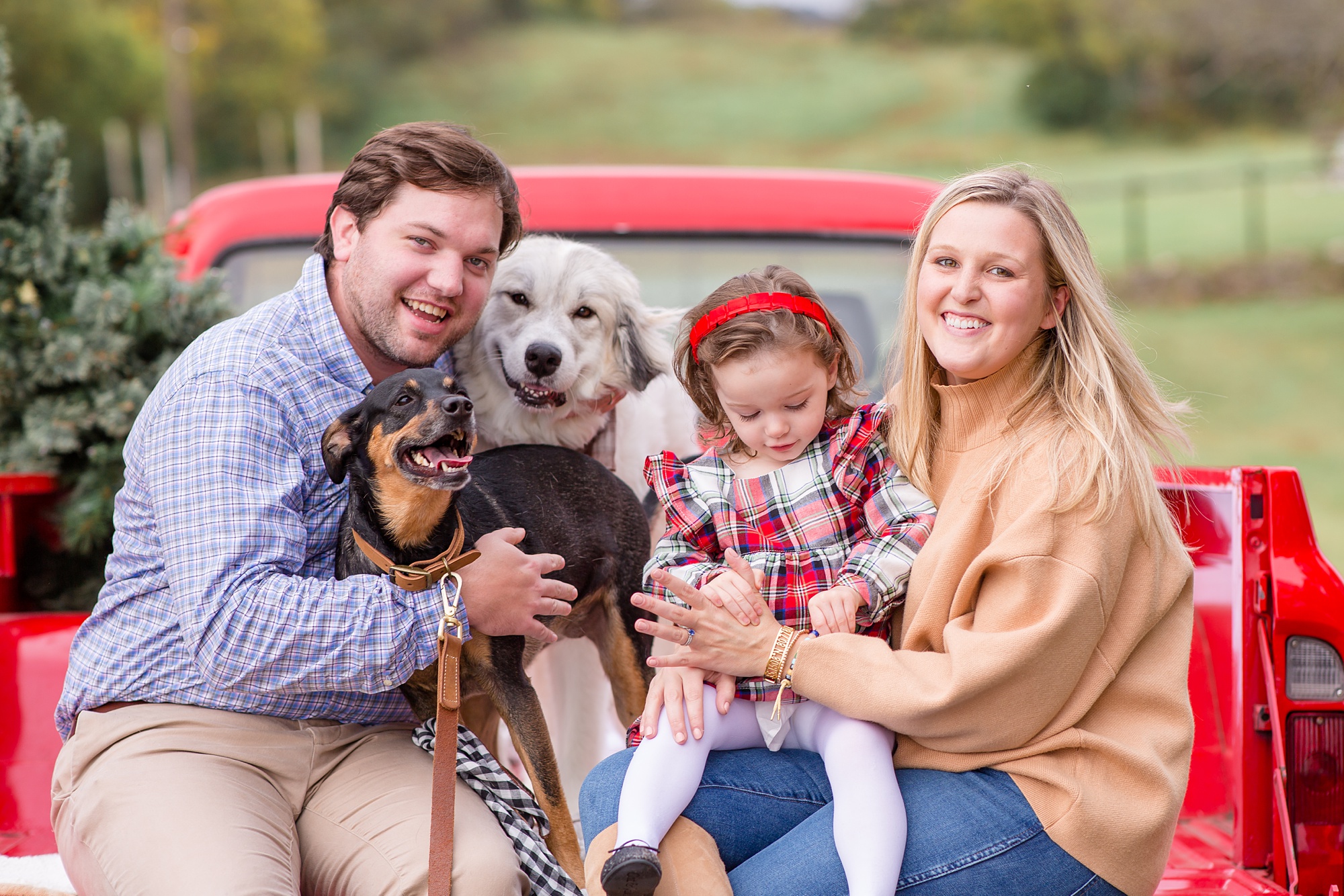 parents hold daughter and two dogs during Tennessee Red Truck Christmas Minis