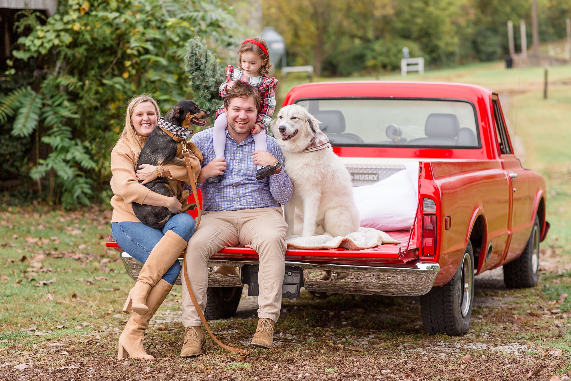 parents hold two dogs and toddler during Tennessee Red Truck Christmas Minis