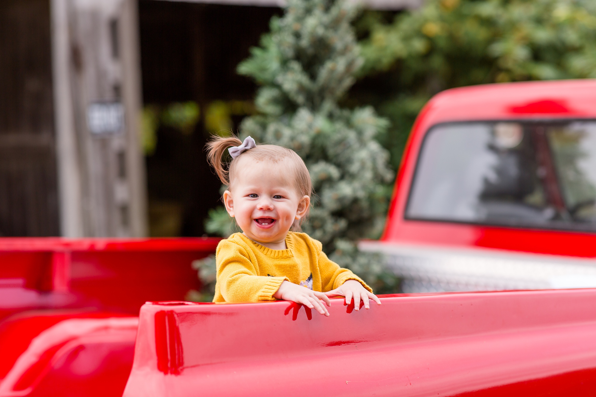 toddler plays in truck bed during Tennessee Red Truck Christmas Minis
