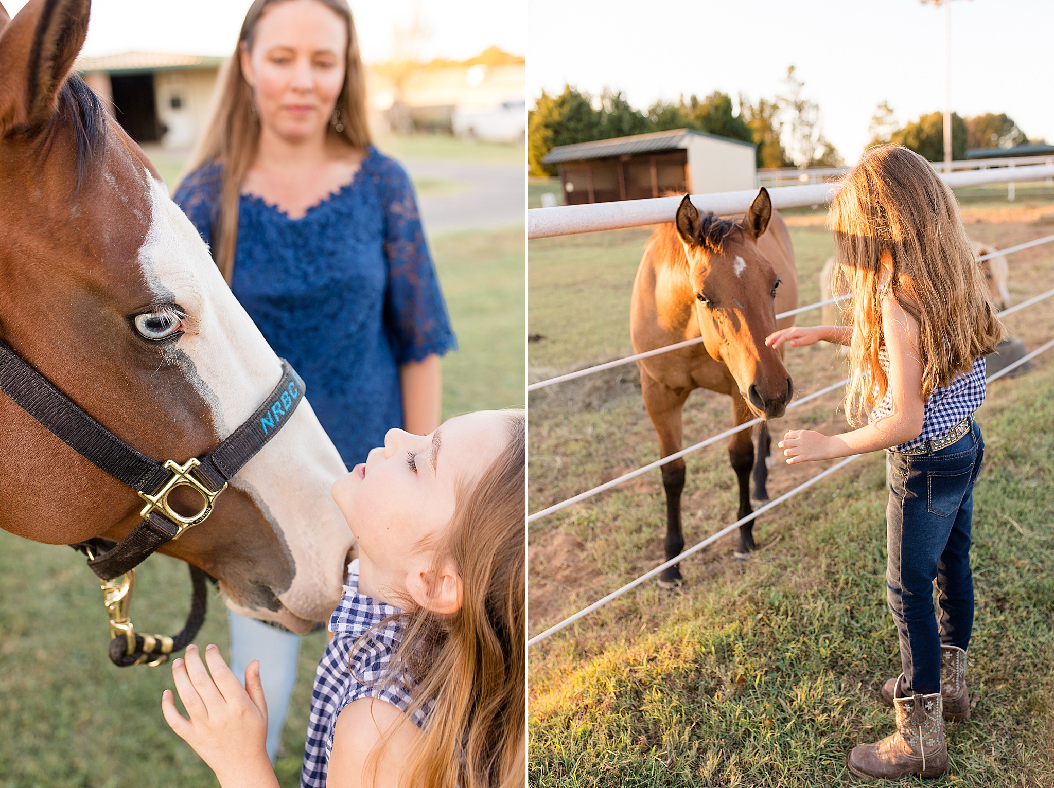 horse licks little girl during family portraits in Texas