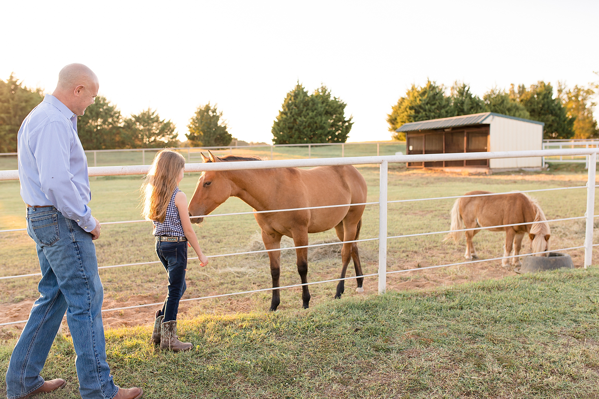 daughter pets horses on family farm in Texas