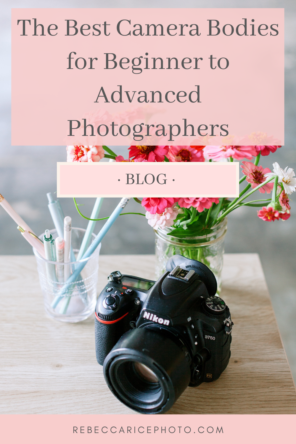 The Best Camera Body | Beginner to Advanced Photographers