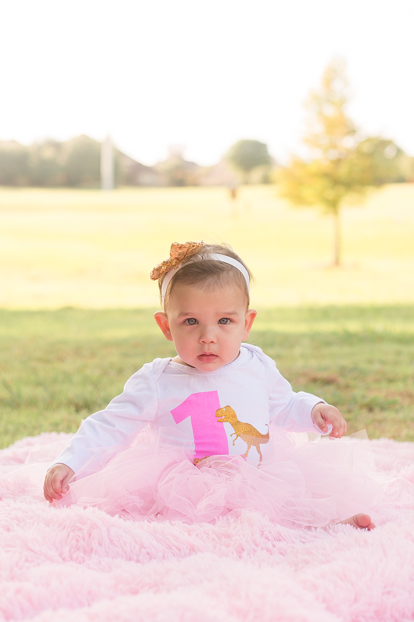toddler in pink tutu sits on blanket in Texas park