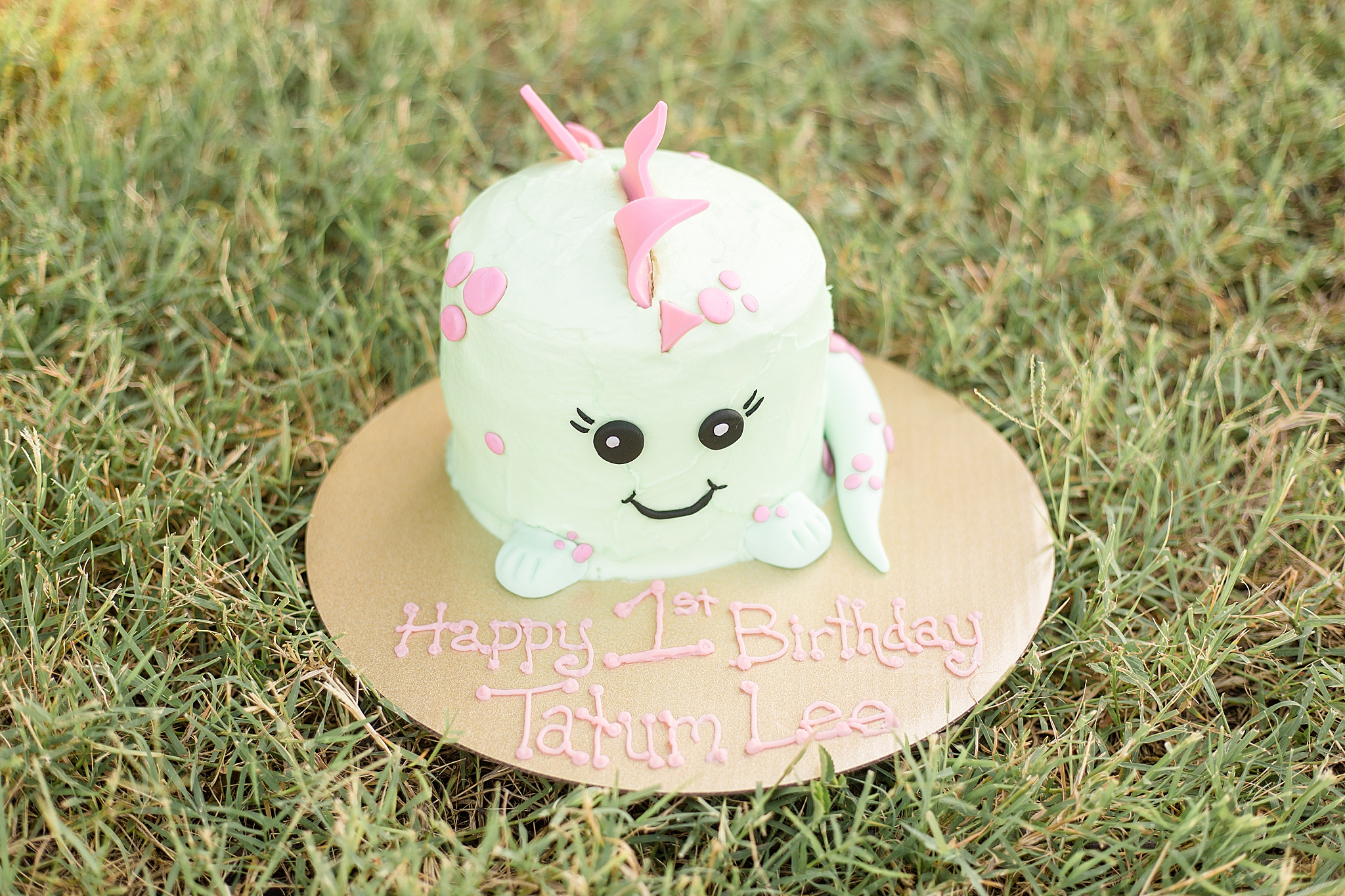 green and pink dinosaur cake for cake smash in Texas