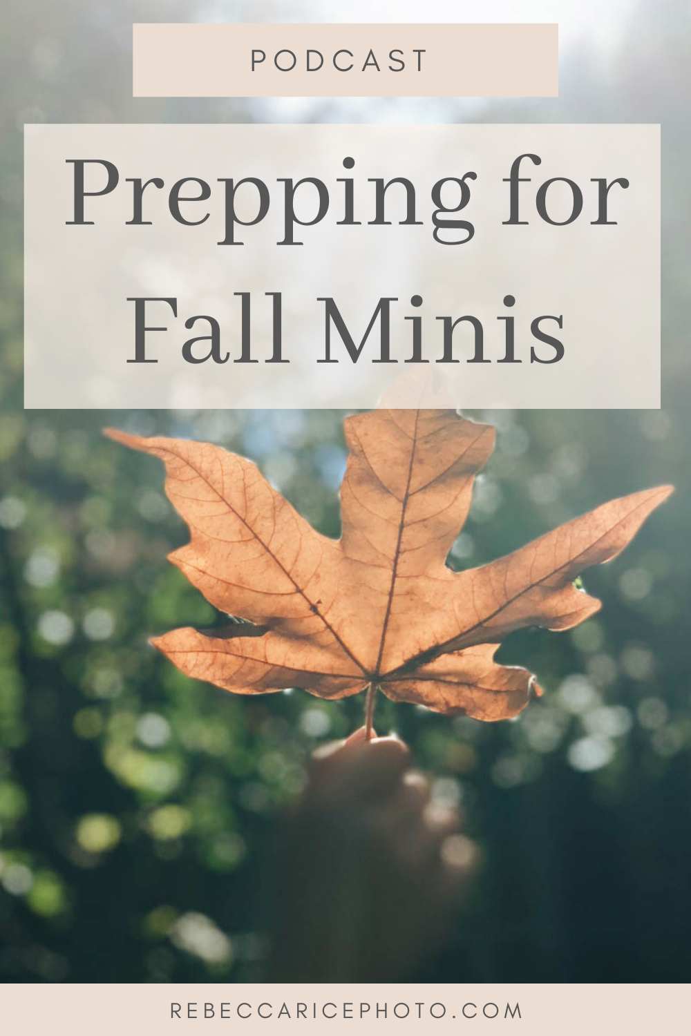 Prepping for Fall Minis: tips for photographers 