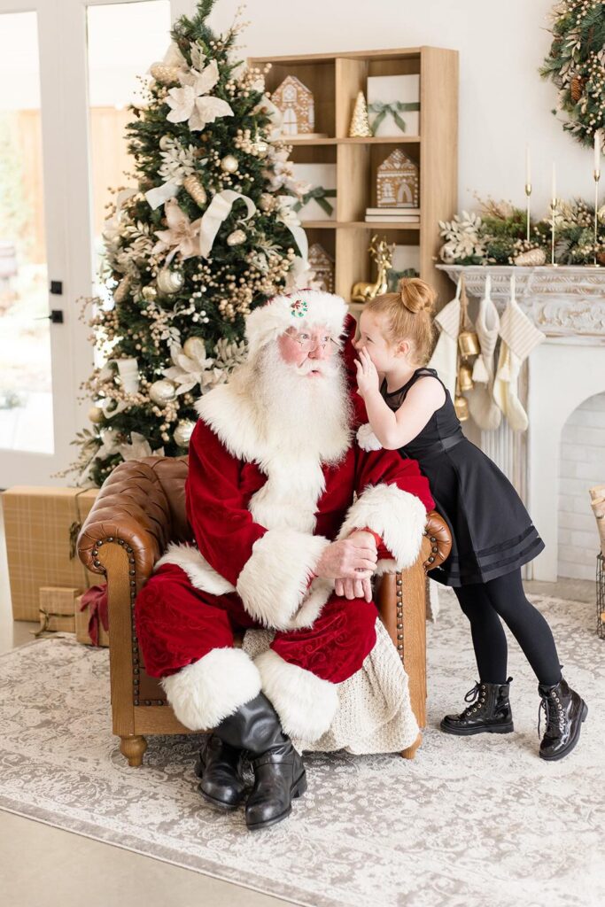 Mini session theme ideas santa minis inspiration posing