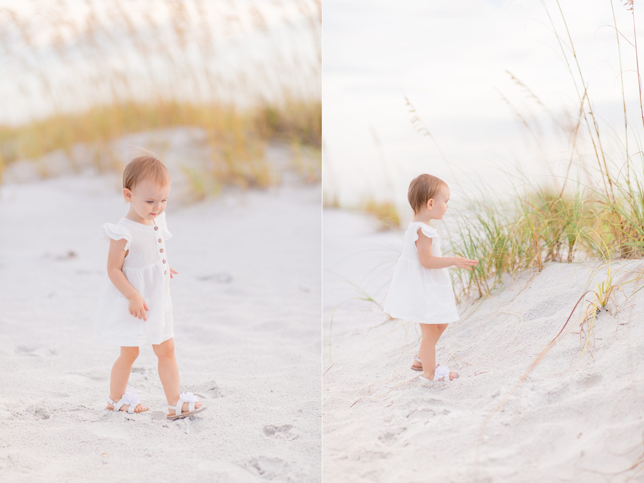 Baby girl explores beach during family portrait session on Anna Maria Island with Rebecca Rice Photography. Click to see more from this session on the blog! 