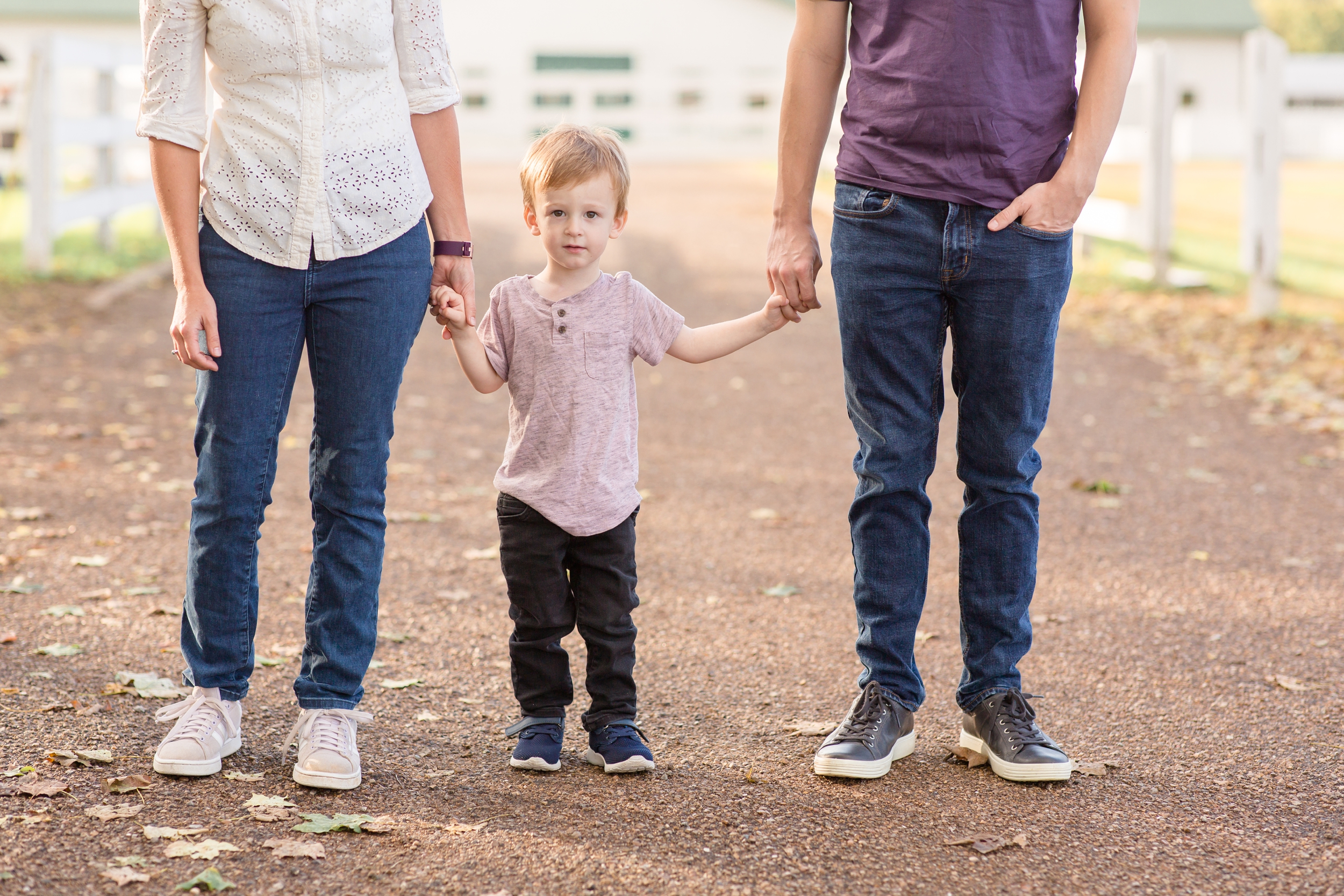 Young boy in lavender shirt holds mom and dad's hand during mini session with family photographer and educator Rebecca Rice of Rebecca Rice Photography. Click to see more from this set of minis at Harlinsdale Farm in Franklin, TN live on the blog now! 