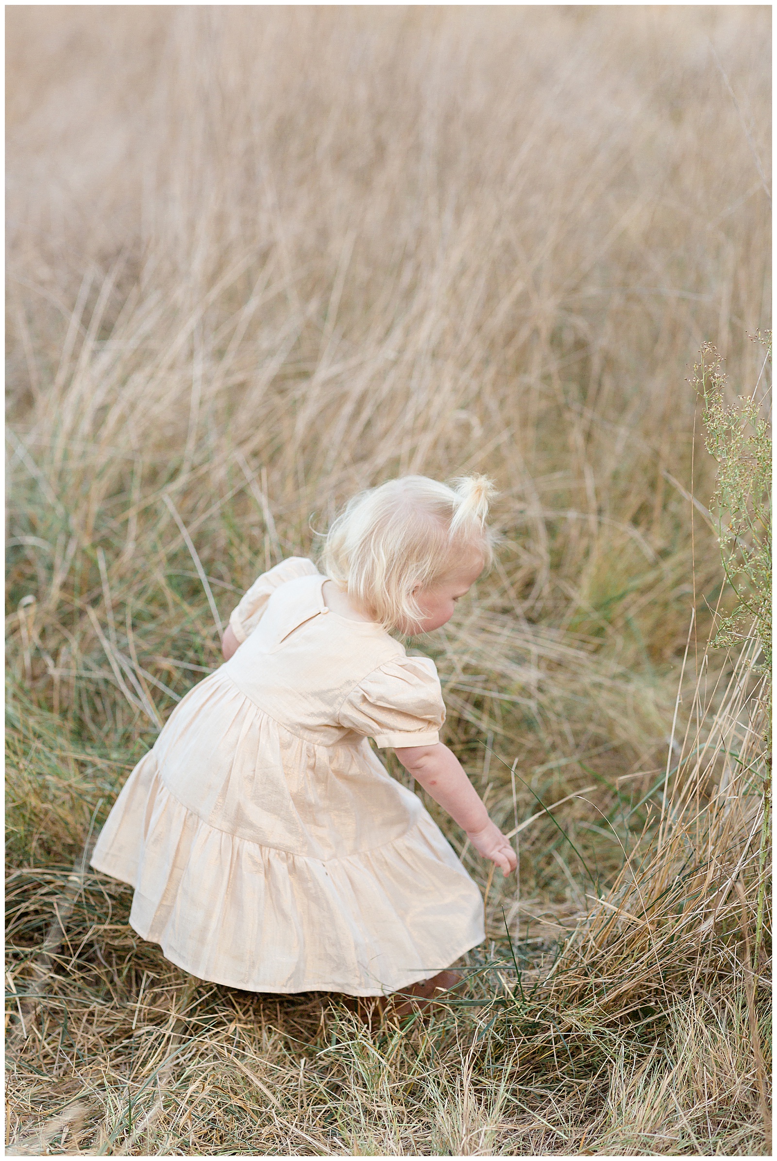 Little girl, who wears a light gold/cream shimmery dress, bends down in a Nashville field and pulls up a piece of long field grass.