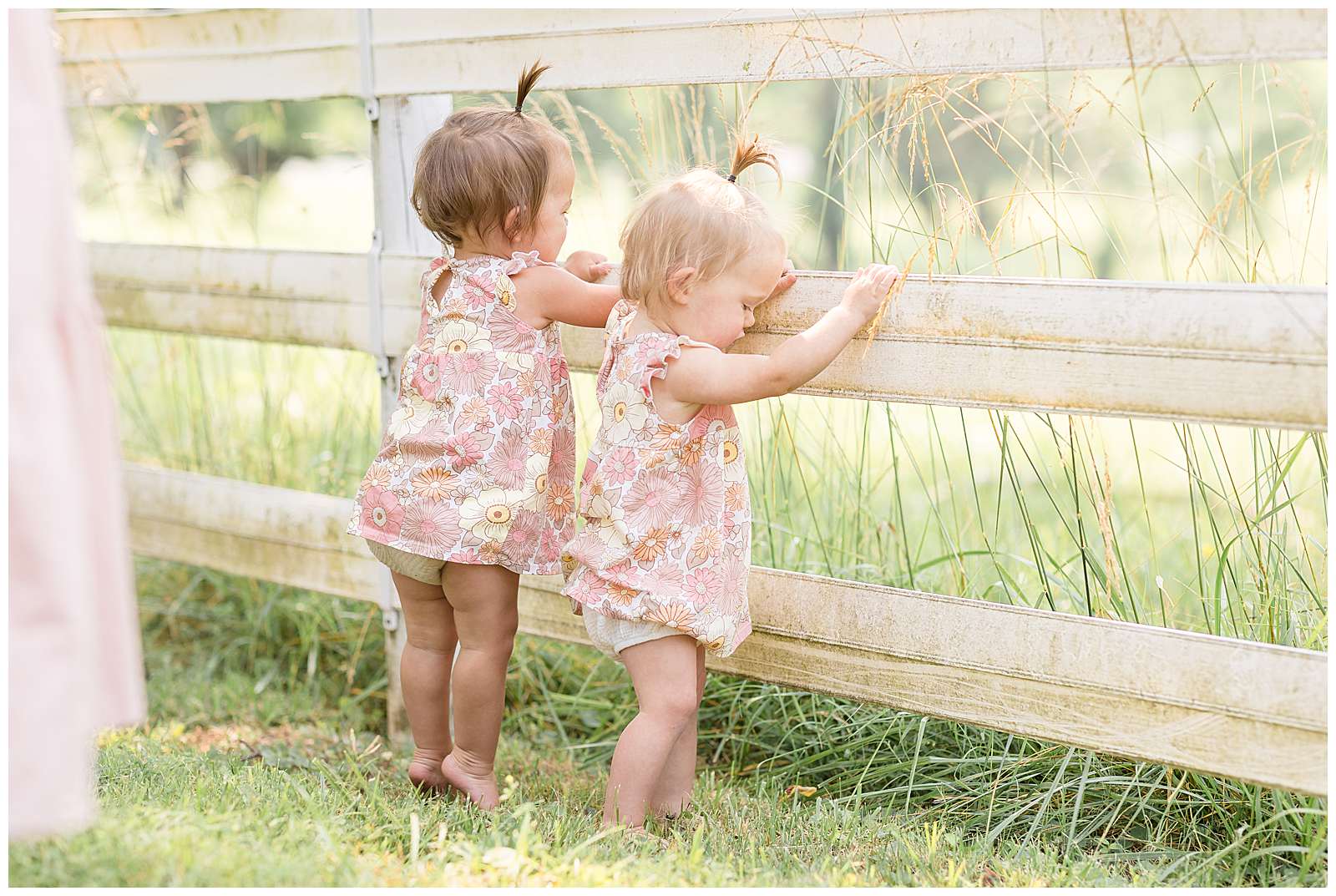 1 year old twins who wear a muted, pink, tone floral onesie romper with ruffle sleeves and whale sprout ponytails, stand in the grass holding on to a white fence and look through with their backsides more towards the camera.